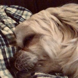 Meet your Posher, Jamie